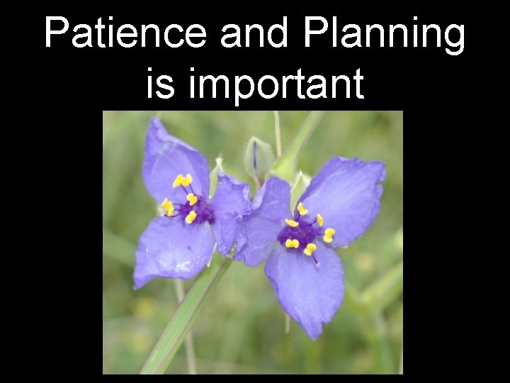 Patience and Planning is important 