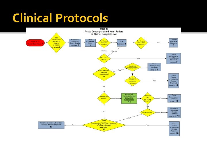 Clinical Protocols 