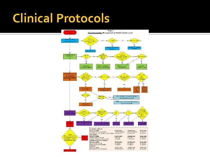 Clinical Protocols 