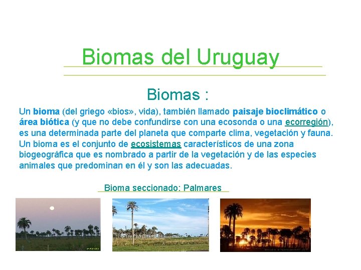 Biomas del Uruguay Biomas : Un bioma (del griego «bios» , vida), también llamado