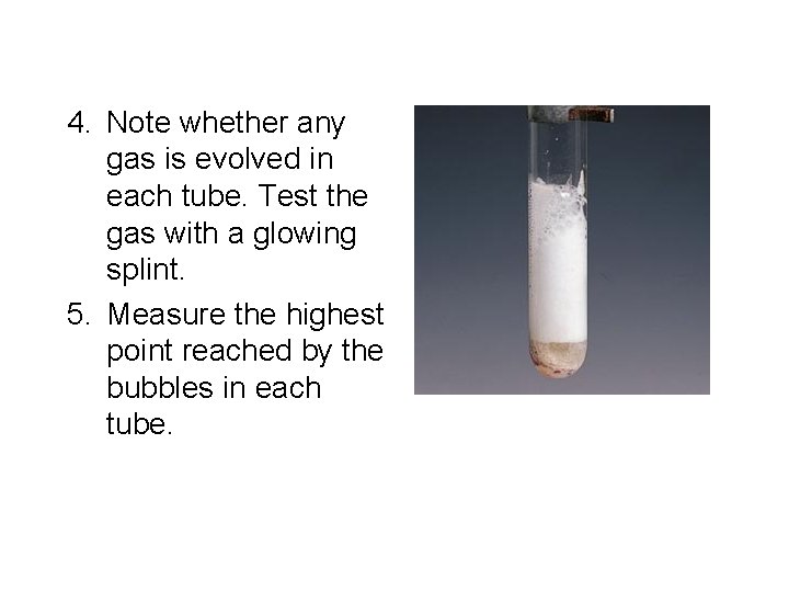 4. Note whether any gas is evolved in each tube. Test the gas with
