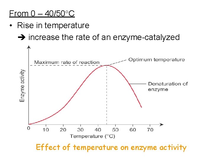 From 0 – 40/50 C • Rise in temperature increase the rate of an