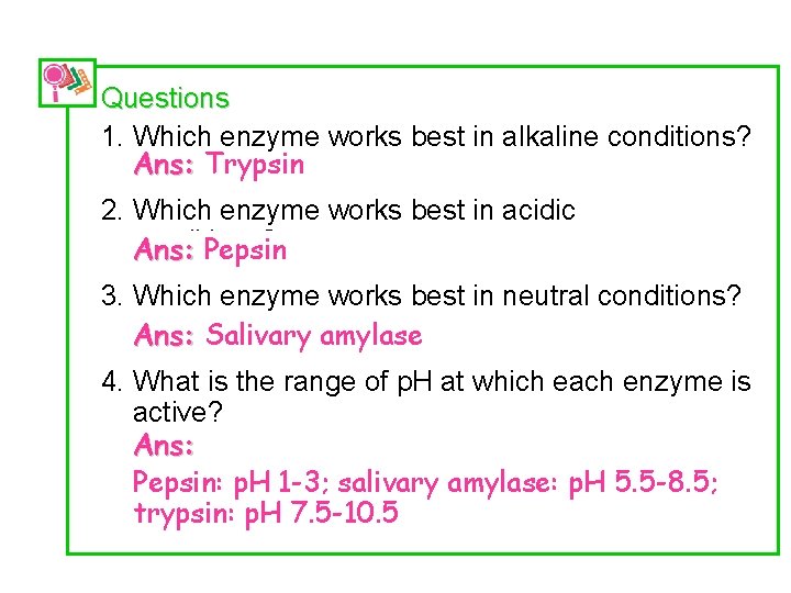Questions 1. Which enzyme works best in alkaline conditions? Ans: Trypsin 2. Which enzyme