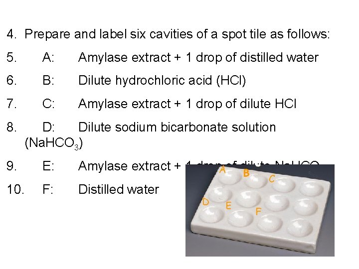 4. Prepare and label six cavities of a spot tile as follows: 5. A: