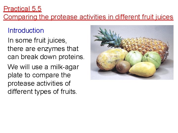 Practical 5. 5 Comparing the protease activities in different fruit juices Introduction In some