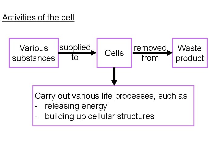 Activities of the cell Various supplied to substances Cells removed from Waste product Carry