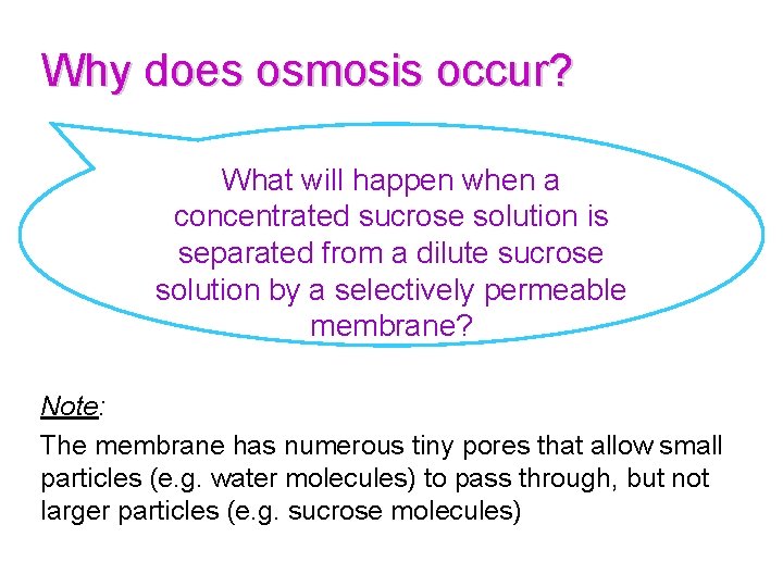 Why does osmosis occur? What will happen when a concentrated sucrose solution is separated