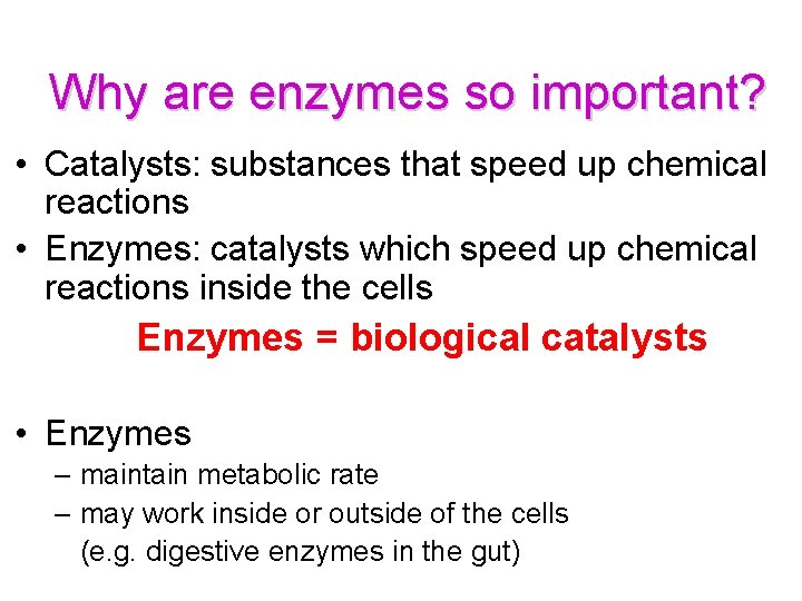 Why are enzymes so important? • Catalysts: substances that speed up chemical reactions •