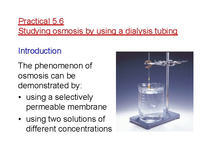 Practical 5. 6 Studying osmosis by using a dialysis tubing Introduction The phenomenon of
