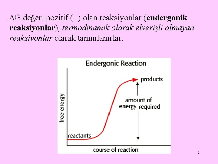  G değeri pozitif ( ) olan reaksiyonlar (endergonik reaksiyonlar), termodinamik olarak elverişli olmayan