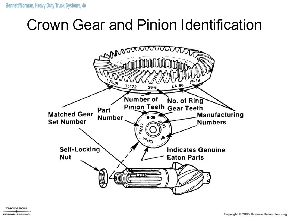 Crown Gear and Pinion Identification 