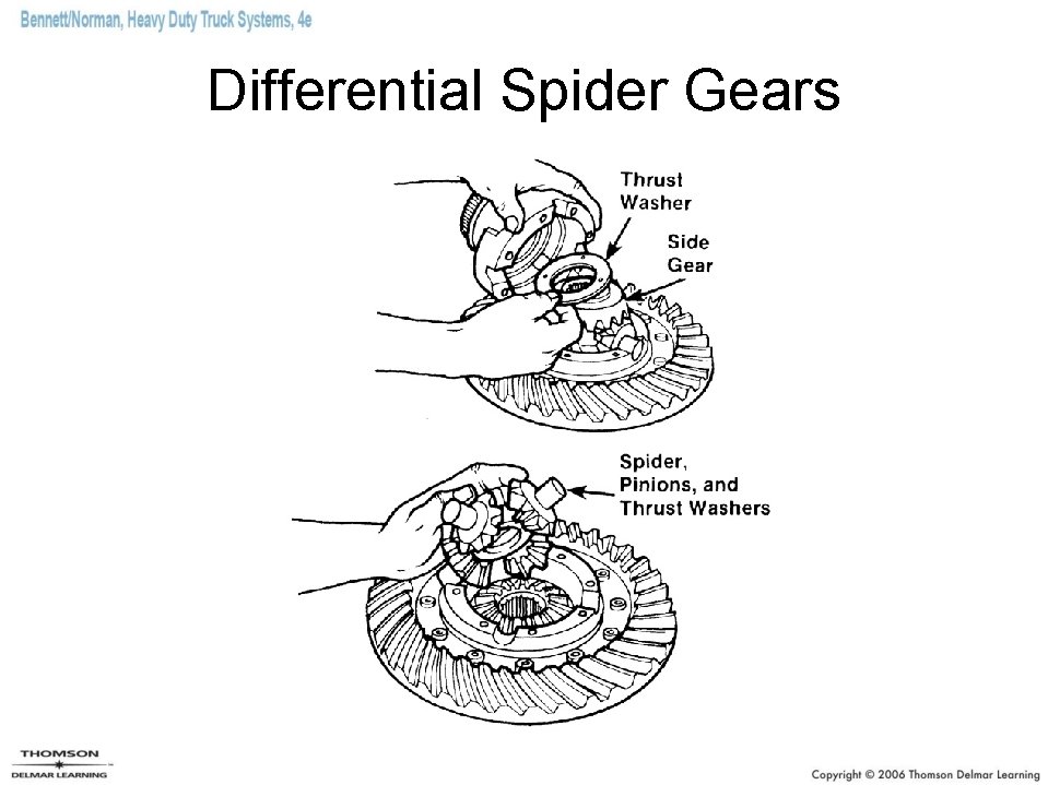Differential Spider Gears 