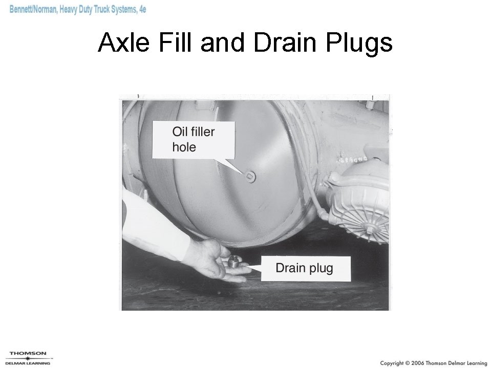 Axle Fill and Drain Plugs 