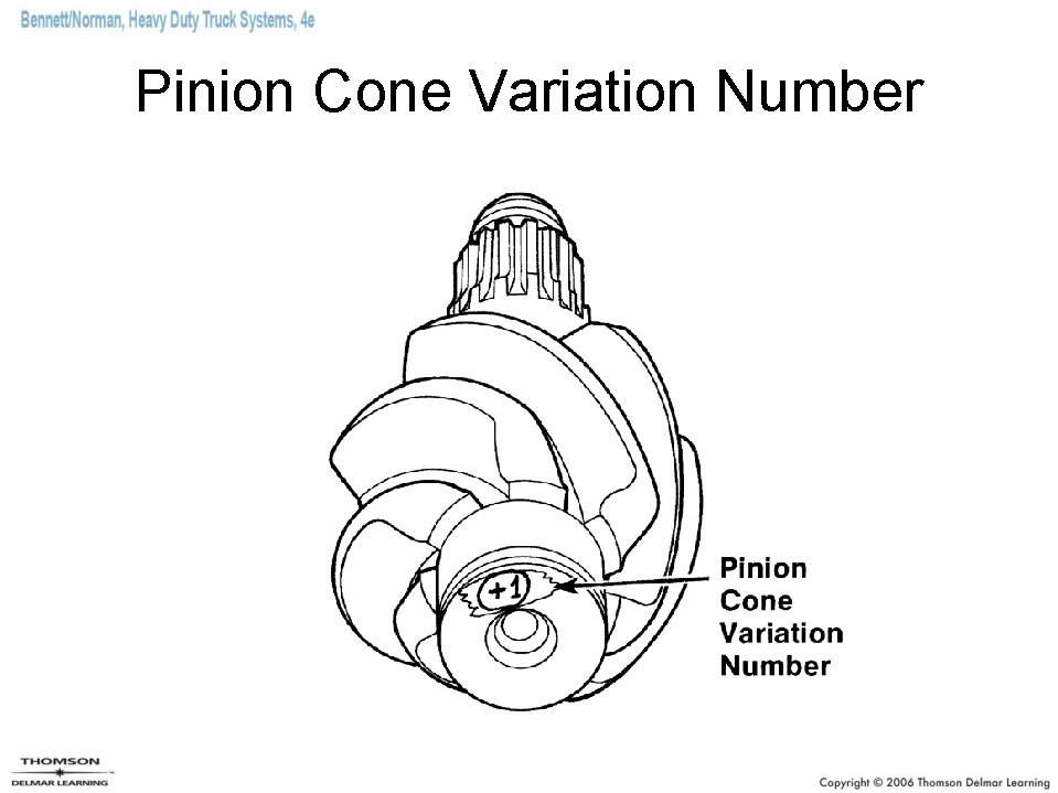 Pinion Cone Variation Number 