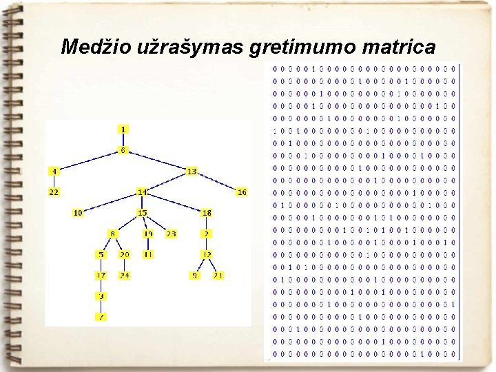 Medžio užrašymas gretimumo matrica 