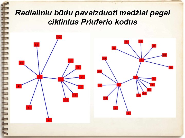 Radialiniu būdu pavaizduoti medžiai pagal ciklinius Priuferio kodus 