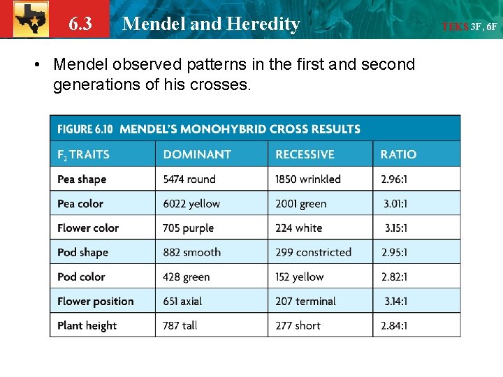 6. 3 Mendel and Heredity • Mendel observed patterns in the first and second