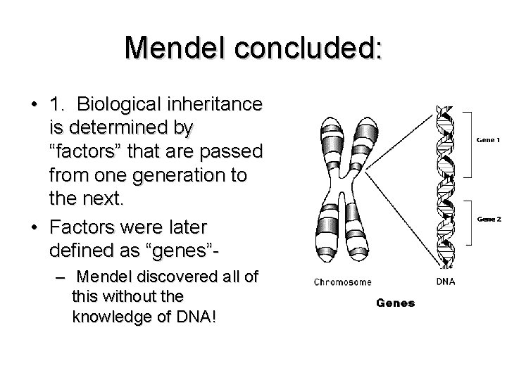 Mendel concluded: • 1. Biological inheritance is determined by “factors” that are passed from