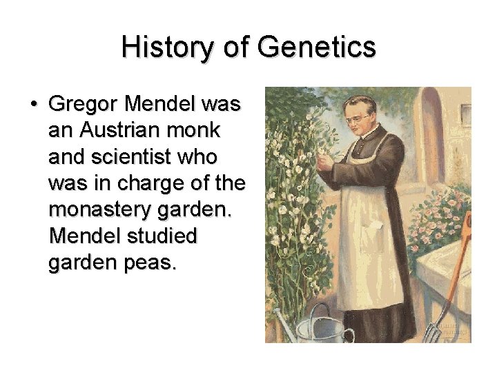 History of Genetics • Gregor Mendel was an Austrian monk and scientist who was