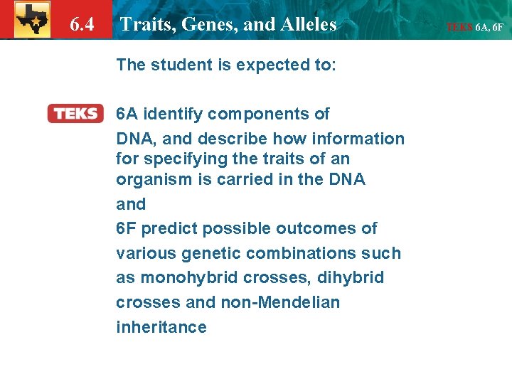 6. 4 Traits, Genes, and Alleles The student is expected to: 6 A identify