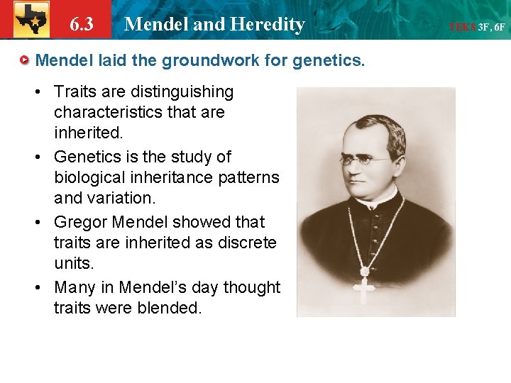 6. 3 Mendel and Heredity Mendel laid the groundwork for genetics. • Traits are