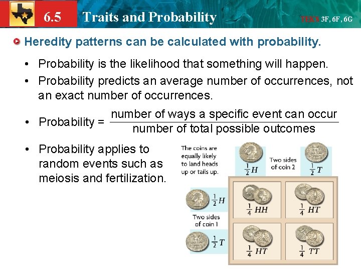 6. 5 Traits and Probability TEKS 3 F, 6 G Heredity patterns can be