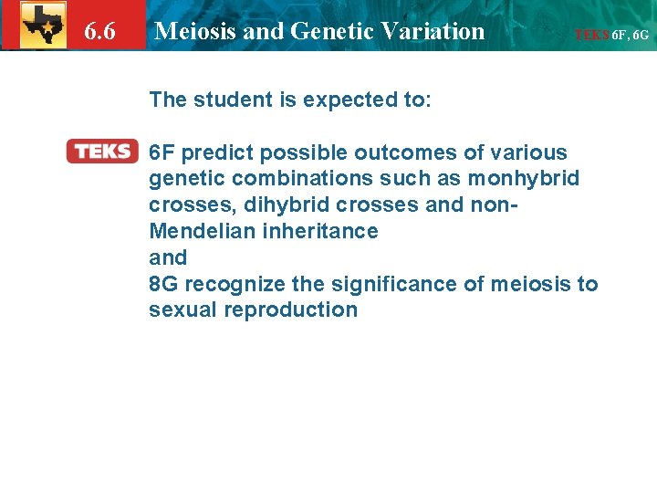 6. 6 Meiosis and Genetic Variation TEKS 6 F, 6 G The student is