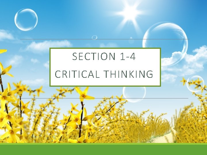 SECTION 1 -4 CRITICAL THINKING 