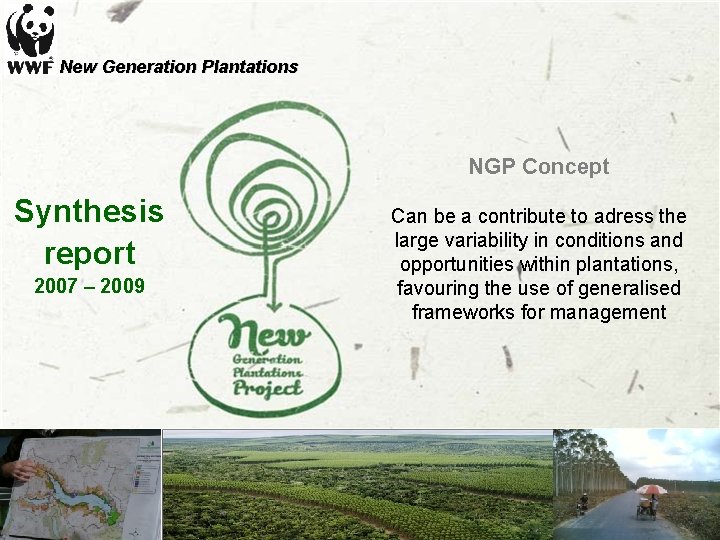 New Generation Plantations NGP Concept Synthesis report 2007 – 2009 Can be a contribute