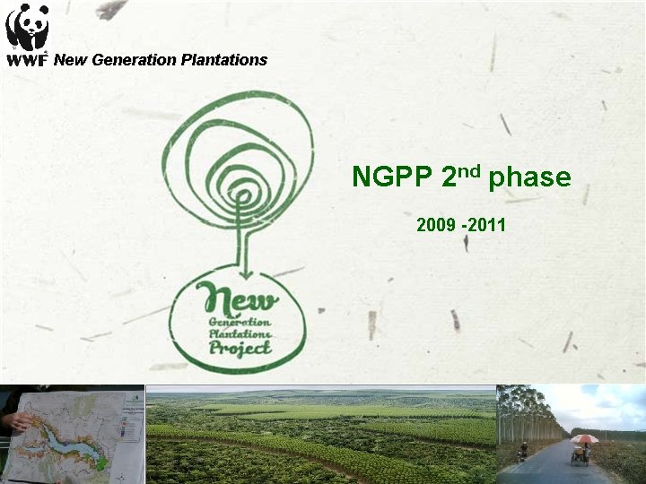 New Generation Plantations NGPP 2 nd phase 2009 -2011 