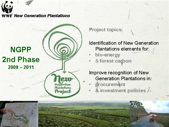 New Generation Plantations Project topics: NGPP 2 nd Phase 2009 – 2011 Identification of