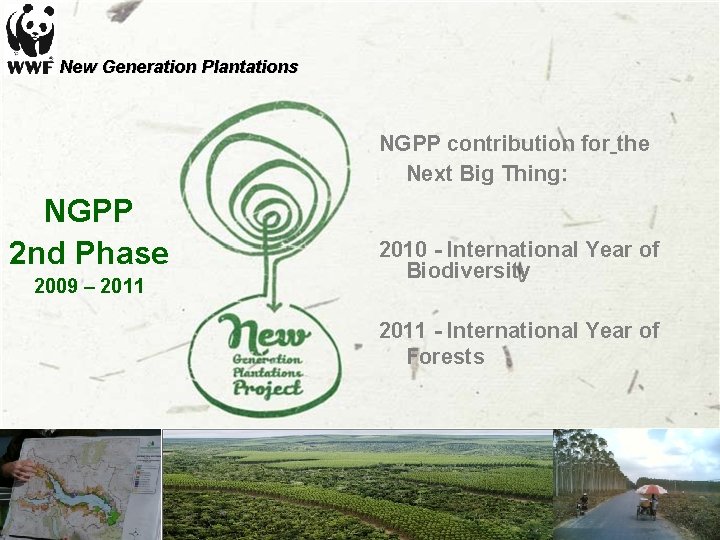 New Generation Plantations NGPP contribution for the Next Big Thing: NGPP 2 nd Phase