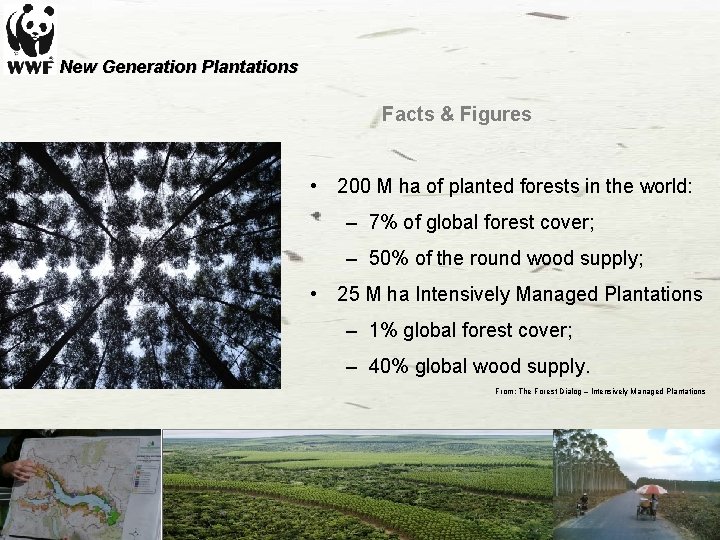 New Generation Plantations Facts & Figures • 200 M ha of planted forests in