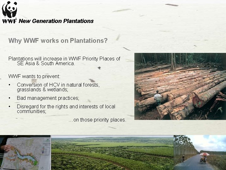 New Generation Plantations Why WWF works on Plantations? Plantations will increase in WWF Priority