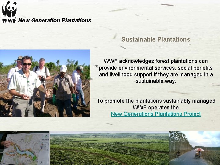 New Generation Plantations Sustainable Plantations WWF acknowledges forest plantations can provide environmental services, social New Generation Plantations Sustainable Plantations WWF acknowledges forest plantations can provide environmental services, social