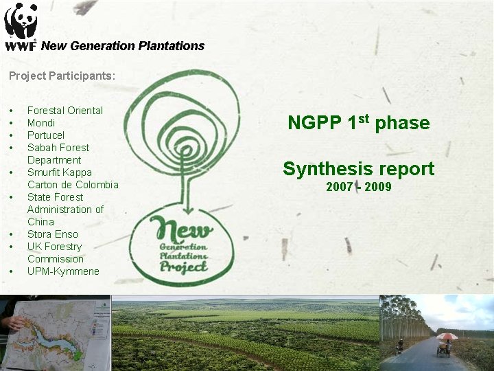 New Generation Plantations Project Participants: • • • Forestal Oriental Mondi Portucel Sabah Forest