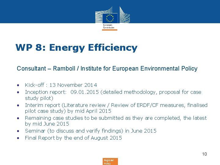 WP 8: Energy Efficiency Consultant – Ramboll / Institute for European Environmental Policy •