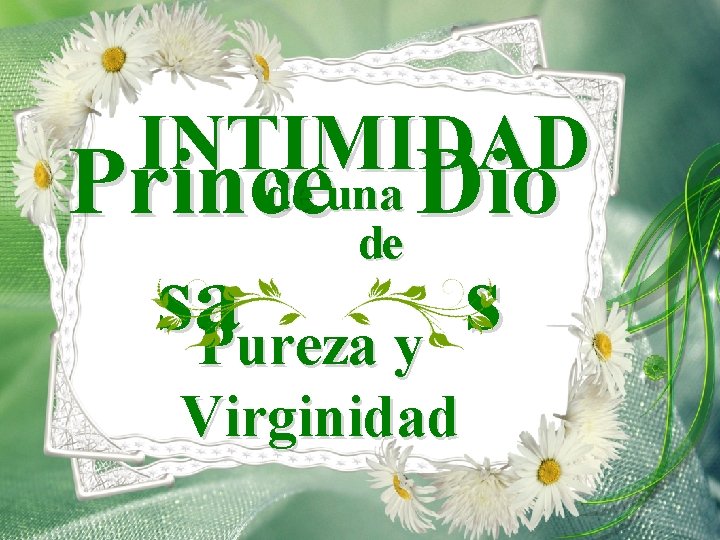 INTIMIDAD de una Prince de Dio sa. Pureza y s Virginidad 