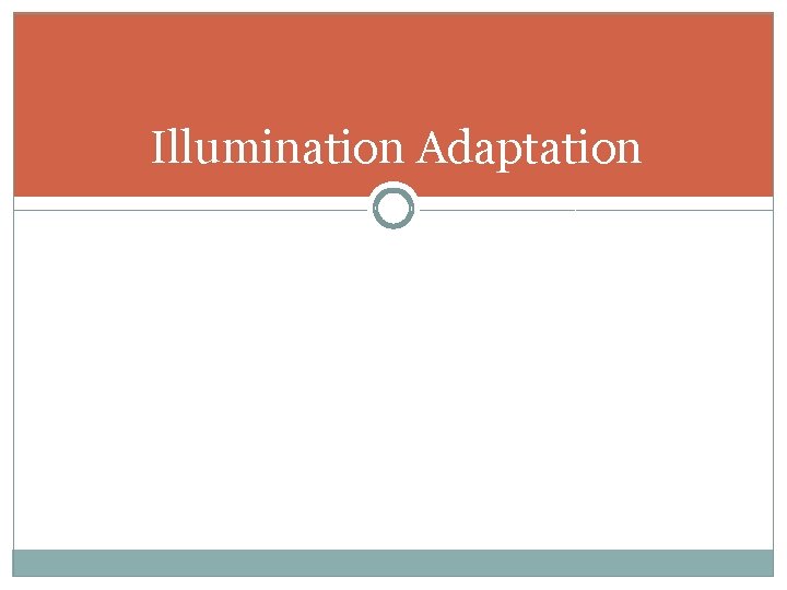 Illumination Adaptation 