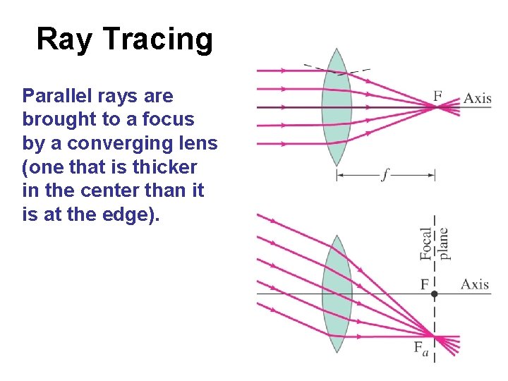 Ray Tracing Parallel rays are brought to a focus by a converging lens (one