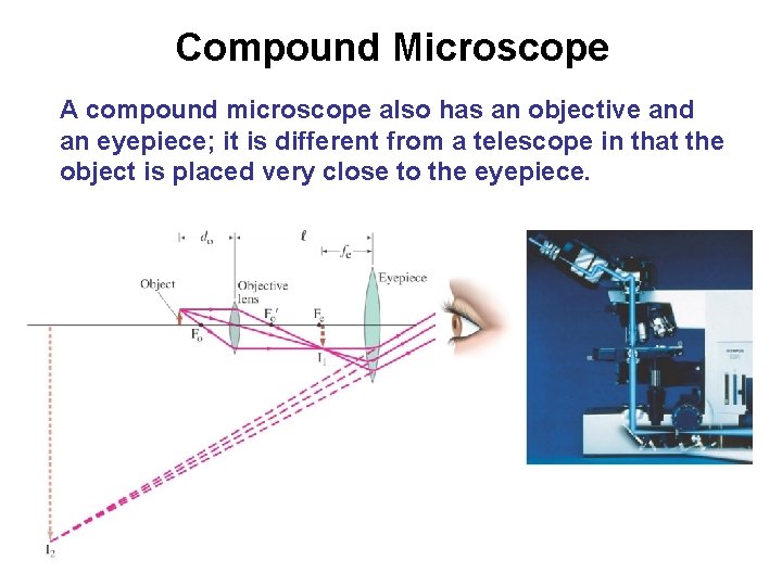 Compound Microscope A compound microscope also has an objective and an eyepiece; it is