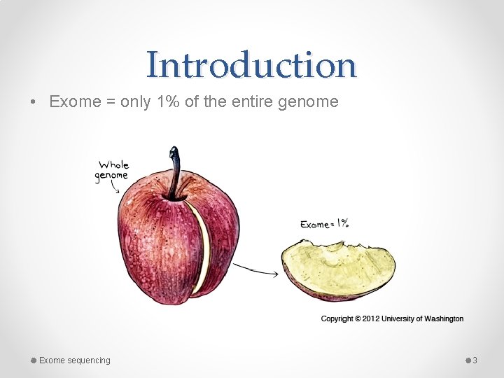 Introduction • Exome = only 1% of the entire genome Exome sequencing 3 