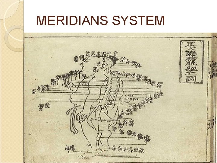 MERIDIANS SYSTEM MERIDIANS SYSTEM