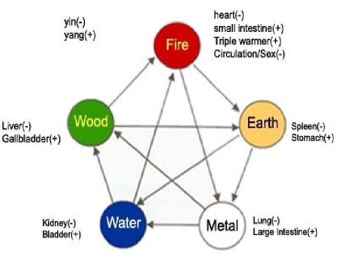 FIVE ELEMENTS FIVE ELEMENTS