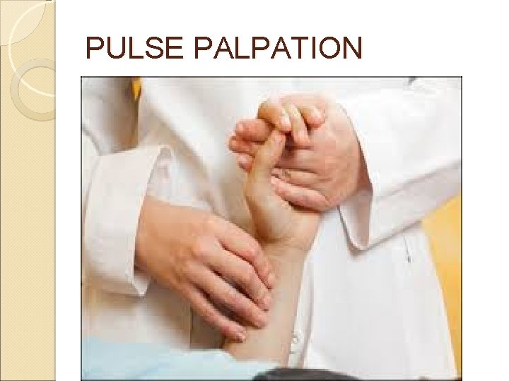 PULSE PALPATION PULSE PALPATION