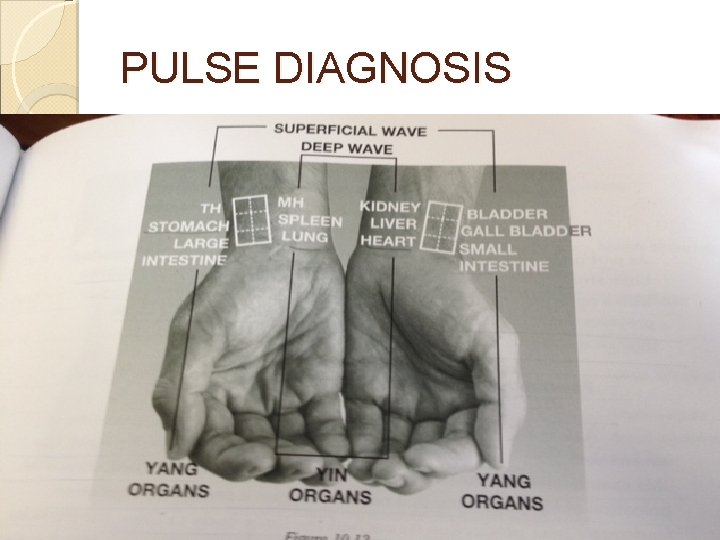 PULSE DIAGNOSIS PULSE DIAGNOSIS