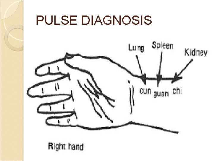 PULSE DIAGNOSIS PULSE DIAGNOSIS