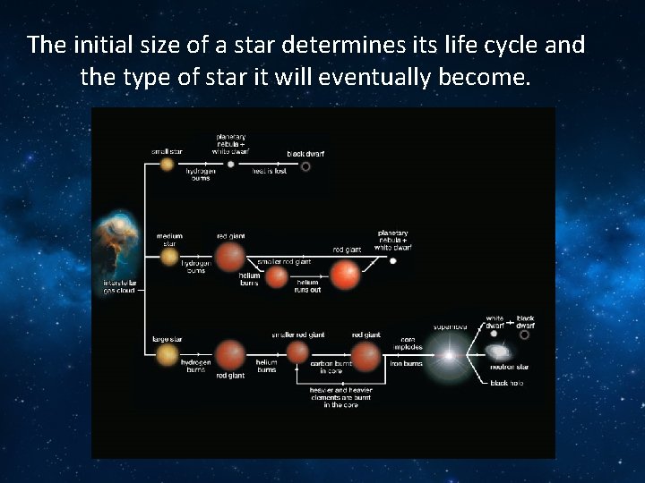 The initial size of a star determines its life cycle and the type of