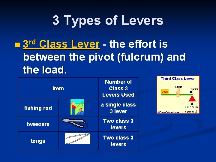 3 Types of Levers n 3 rd Class Lever - the effort is between