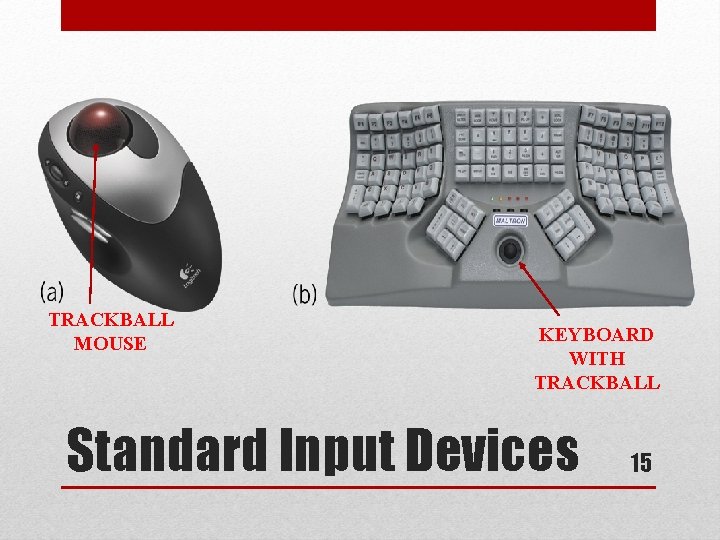 TRACKBALL MOUSE KEYBOARD WITH TRACKBALL Standard Input Devices 15 